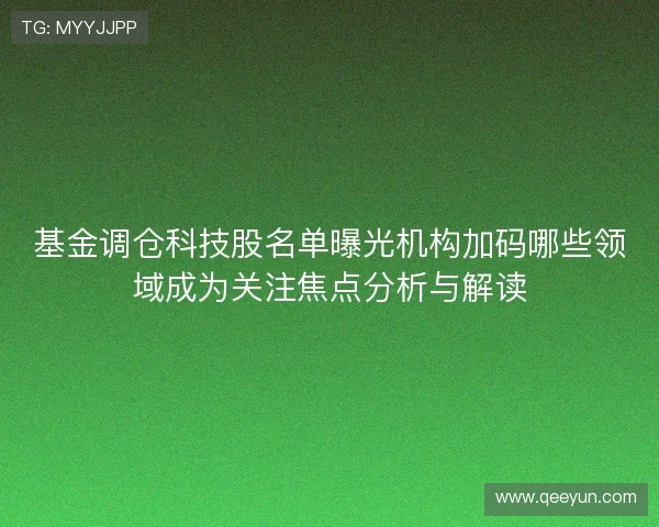 基金调仓科技股名单曝光机构加码哪些领域成为关注焦点分析与解读